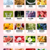 哈們煙彈 HAMAN霧化彈 通用Relx主機一代 台灣現貨 10 哈們煙彈 HAMAN霧化彈 通用Relx主機一代 台灣現貨