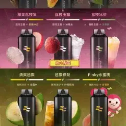 Wagoo 6500 Puffs拋棄式電子煙 哇酷6500口一次性 自由混搭雙口味 買十送一 12 蒸汽樂園 scaled 1